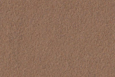 Plain Camel
